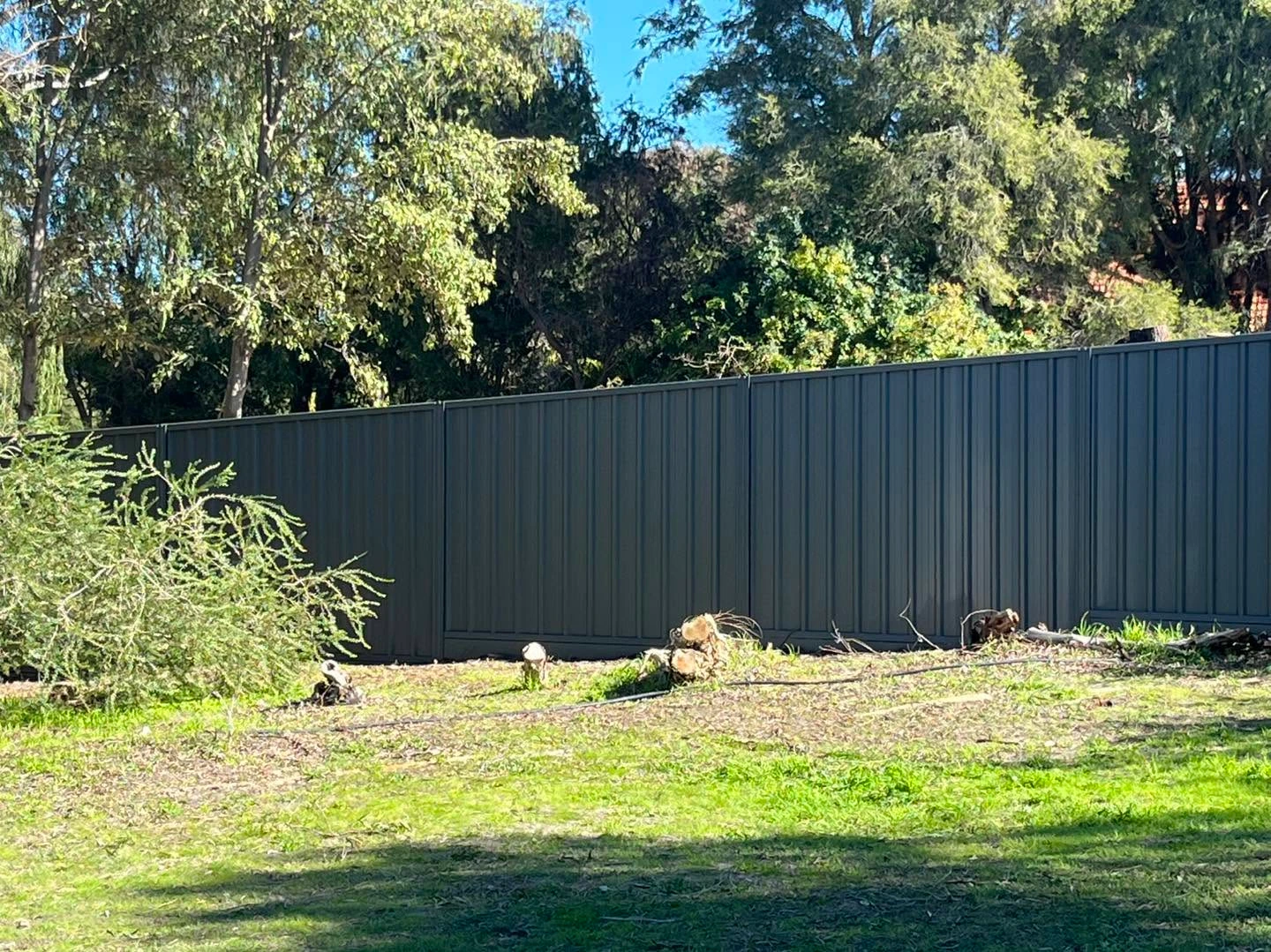 Colorbond Fencing enquiry — AF FENCING, Perth
