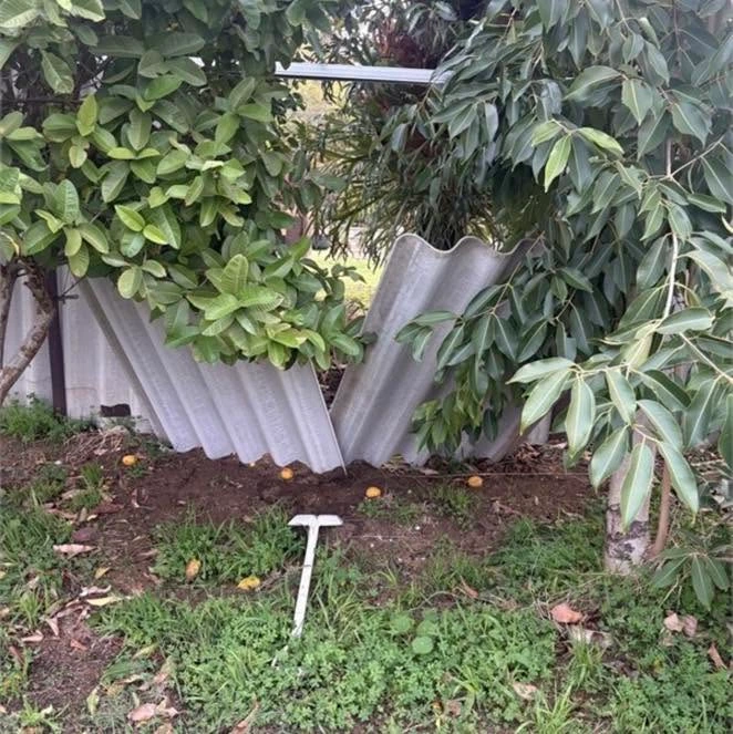 Old asbestos fence being safely removed from a Perth boundary